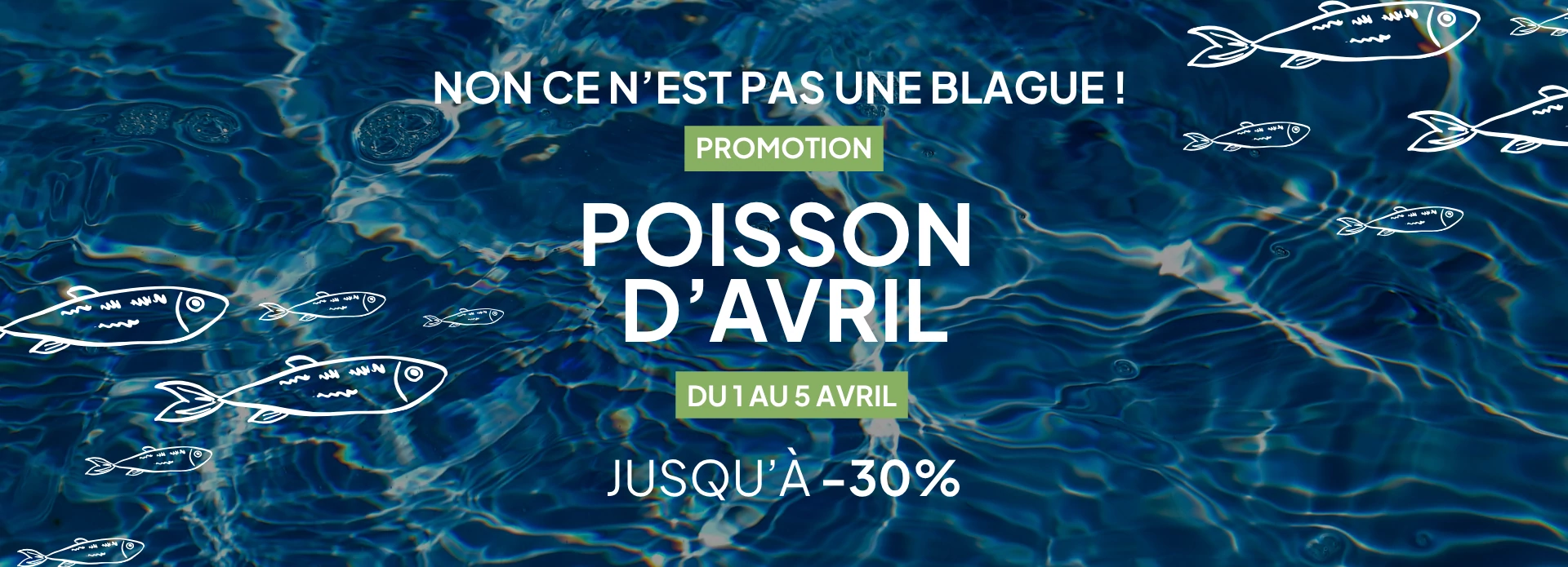 OFFRES POISSON D'AVRIL